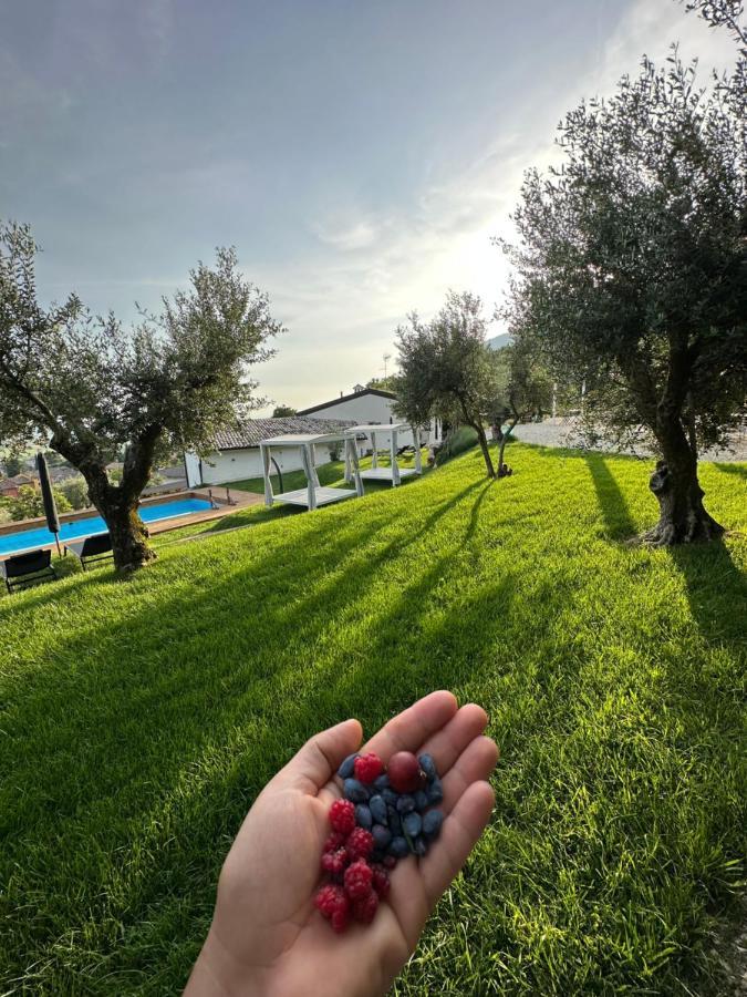 Agriturismo Maison 1933 Caprino Veronese Exterior foto